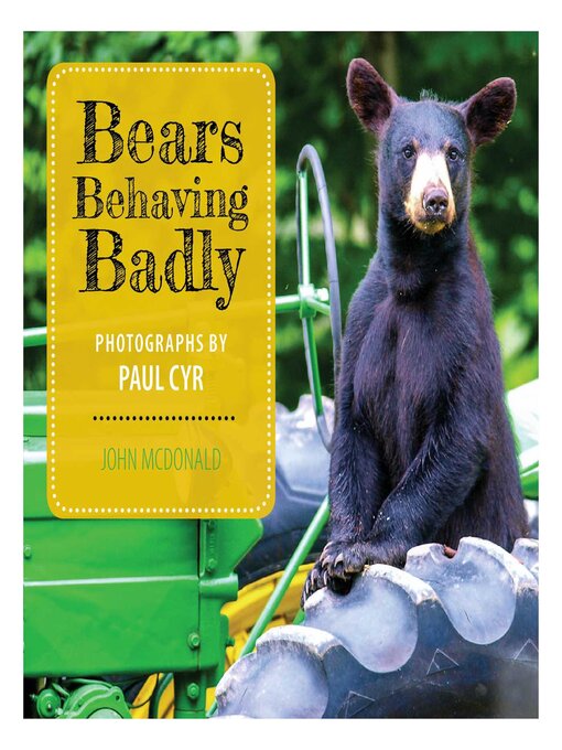 Upplýsingar um Bears Behaving Badly eftir John McDonald - Biðlisti